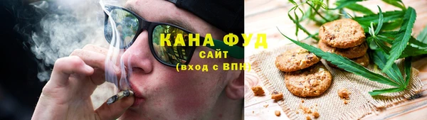 гашик Новодвинск