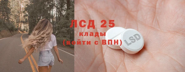 гашик Новодвинск