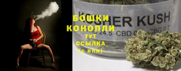 амф Няндома