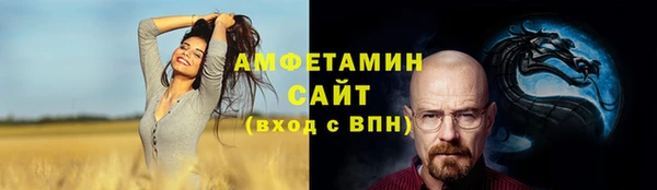 амф Няндома