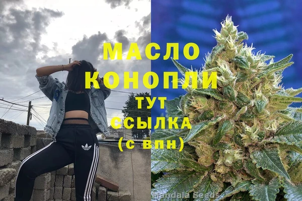 гашик Новодвинск