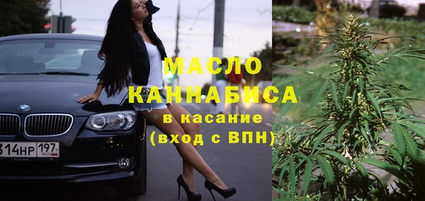 крисы Новозыбков