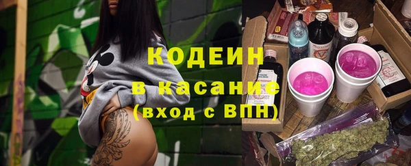 амф Няндома