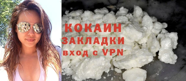 амф Няндома