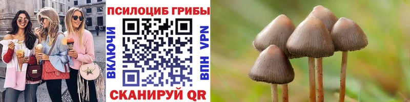 Галлюциногенные грибы ЛСД наркошоп ссылка на мегу маркетплейс Андреаполь